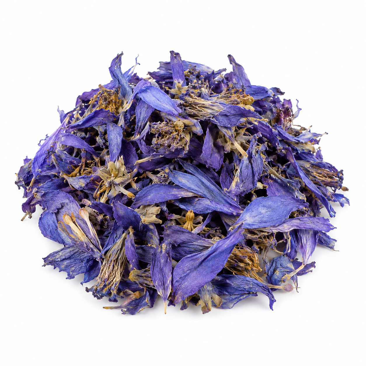 Purple dried flowers on a white background