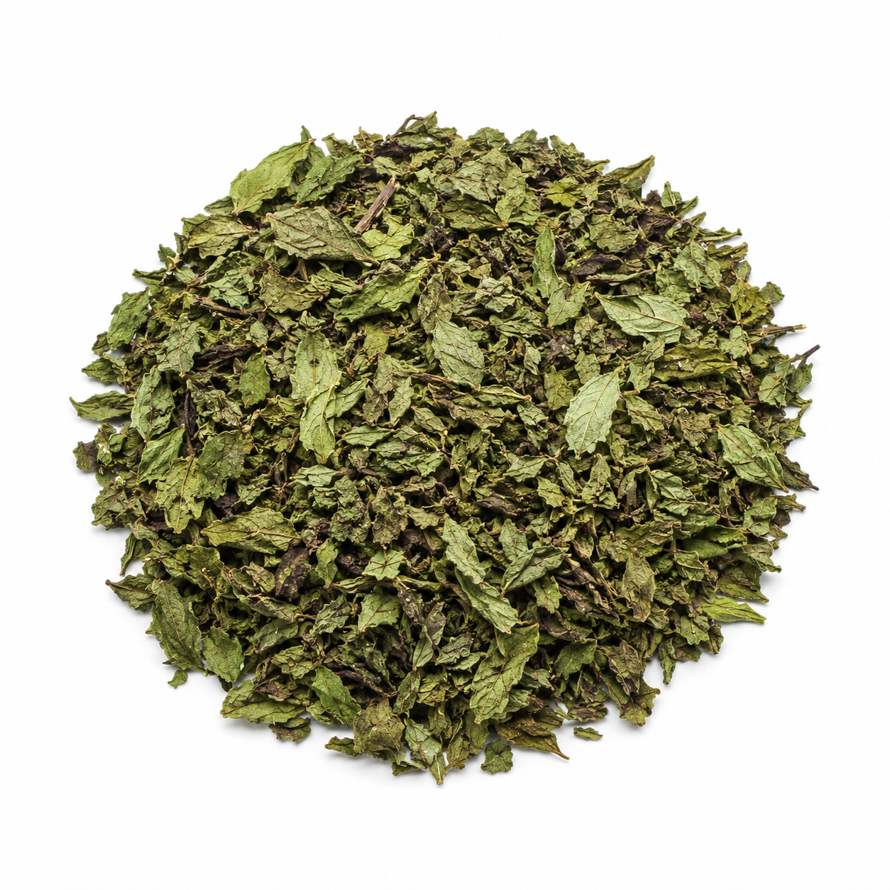 Dry peppermint leaves on a white background